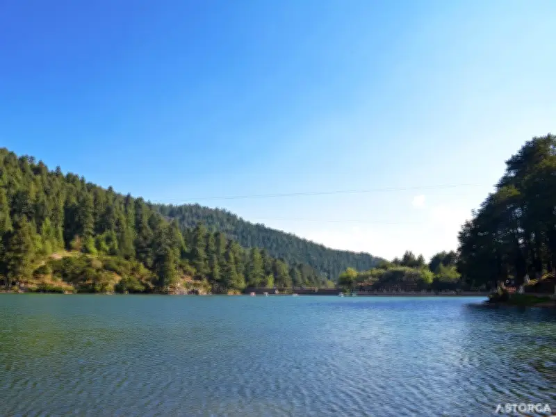 Presa El Cedral: filtraciones y árboles obstaculizan reparación