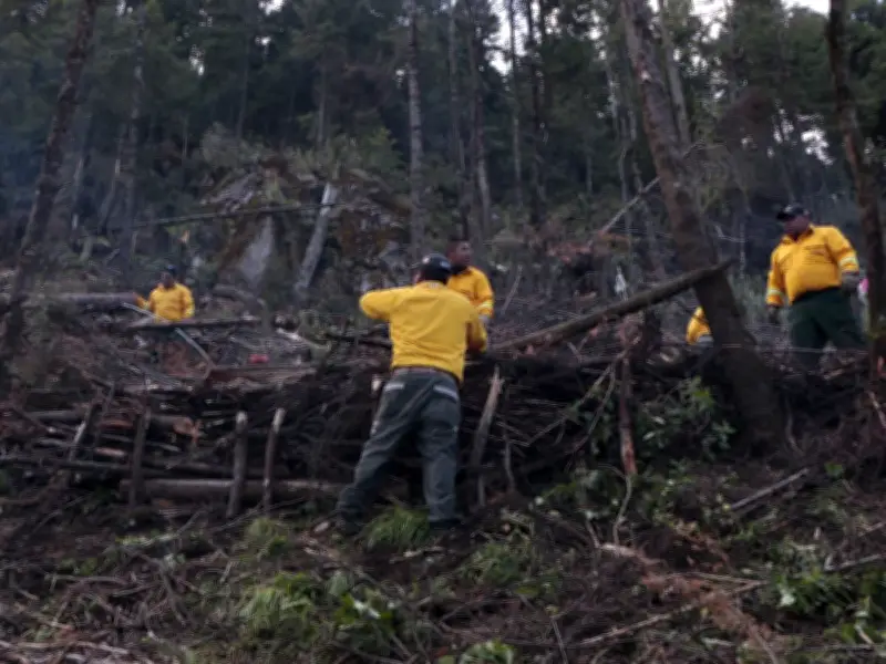 Probosque realiza jornada silvicultural en Tianguistenco, Edomex