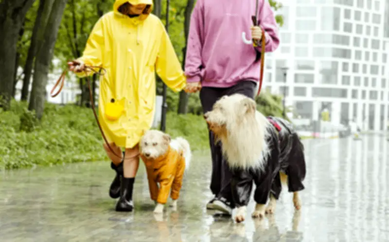 Protege a tu perro de leptospirosis y hongos en lluvias 2026