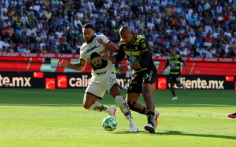 Pumas y Pachuca: rivalidad de liguilla por boleto a la final