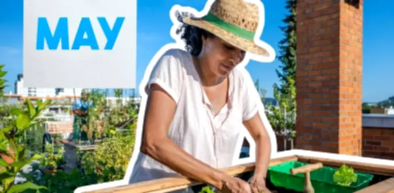 ¿Qué plantar en mayo? Frutas y verduras para tu huerto