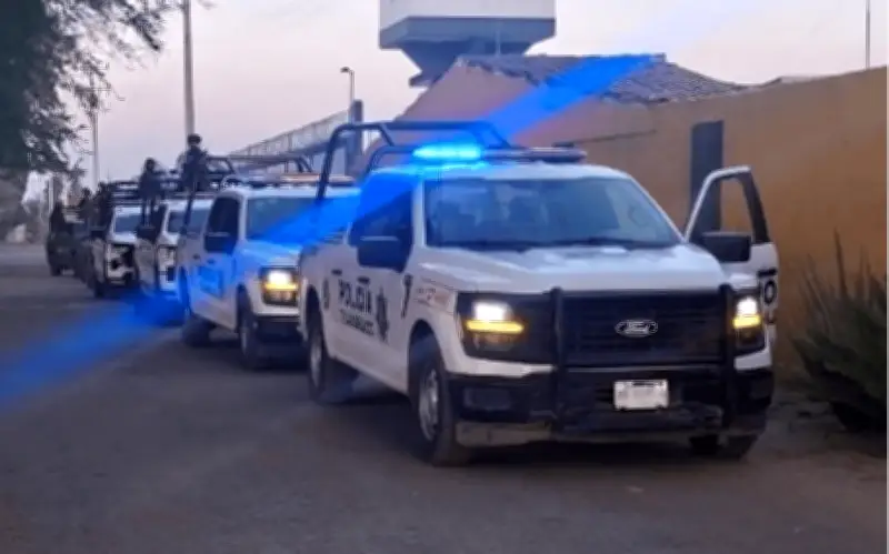 Recuperan 19 vehículos robados en Tlajomulco; detienen a 48 personas