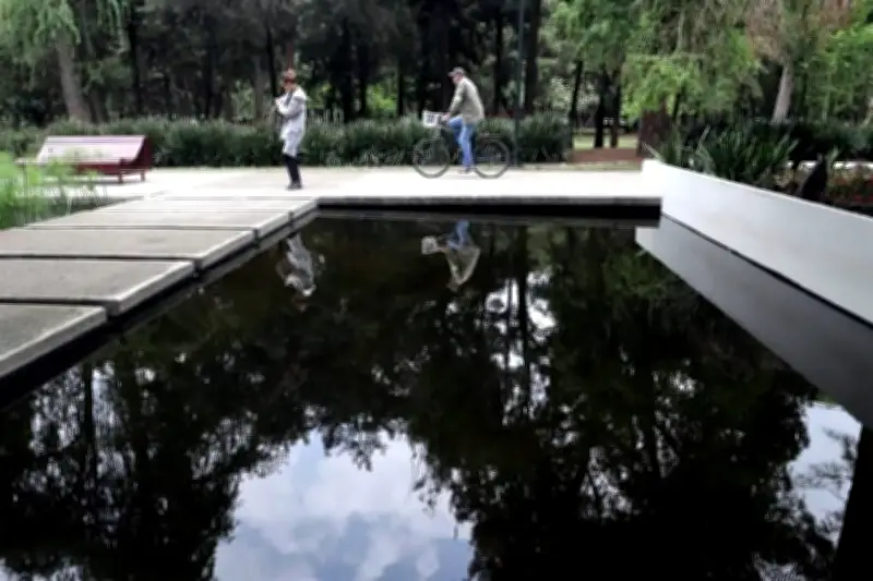 Rehabilitan humedal en Bosque de Chapultepec