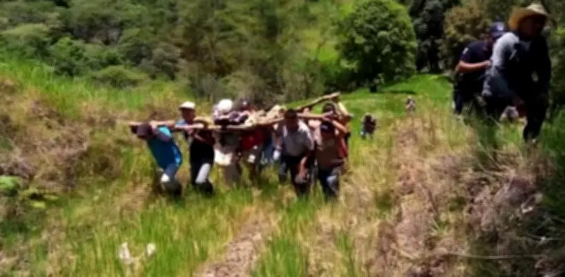 Rescatan con vida a hombre perdido en sierra de Hidalgo