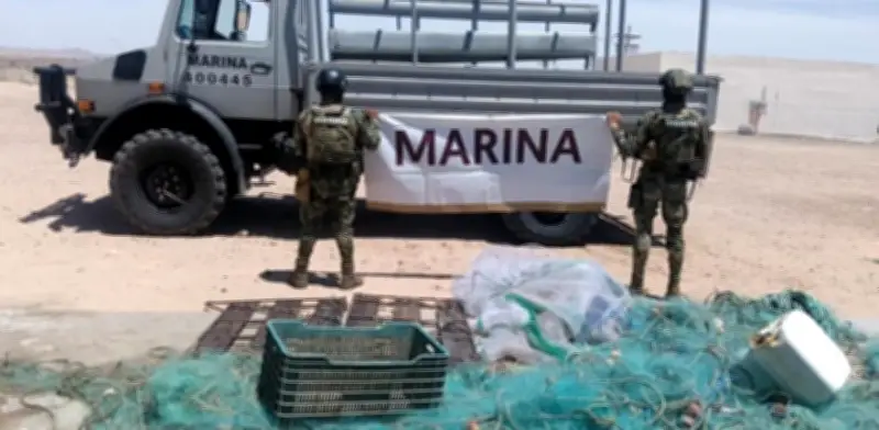 Semar asegura redes de pesca prohibidas en Sonora
