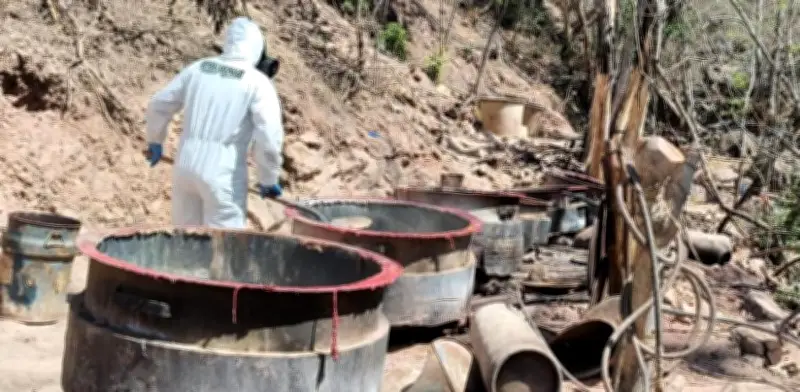 Semar desmantela tres laboratorios clandestinos de 'Los Mayos' en Sinaloa