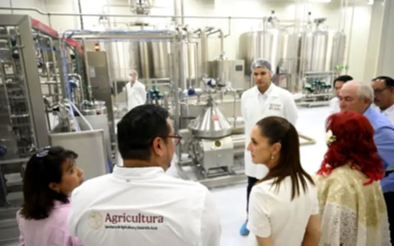Sheinbaum inaugura planta 'Leche para el Bienestar' en Campeche