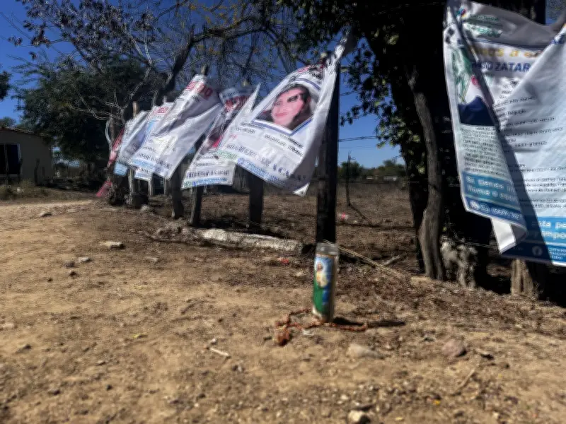 Sinaloa, entre los cinco estados con más fosas clandestinas: Causa Común