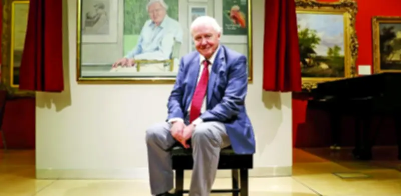 Sir David Attenborough cumple 100 años: legado del naturalista que nos enseñó a amar el planeta