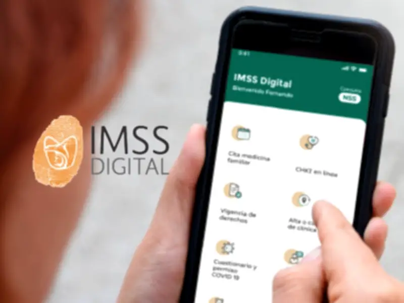 Tarjetón Digital IMSS 2026: descarga tu comprobante en línea