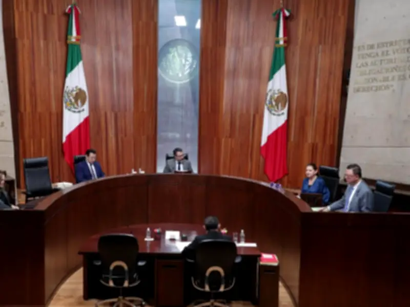 TEPJF avala autoadscripción indígena en credencial de elector