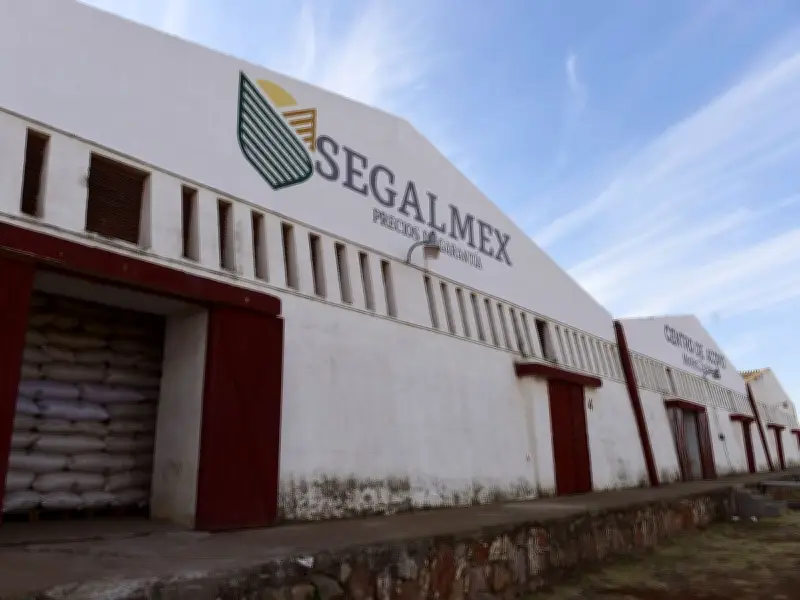 TFJA inhabilita 10 años a tres exfuncionarios de Segalmex