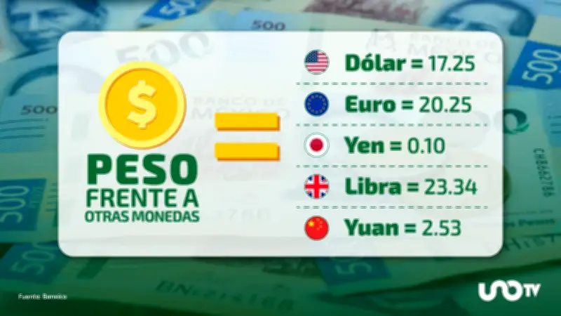 Tipo de cambio hoy 13 de mayo: dólar cotiza en 17.25 pesos