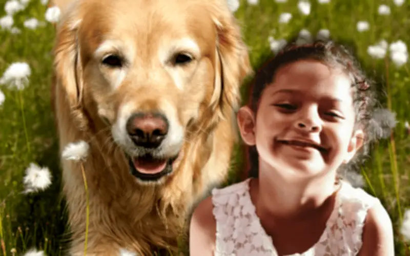 Top 5 perros mejor portados: guía definitiva antes de adoptar