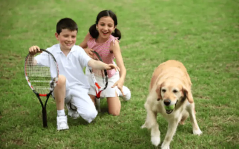 Top 5 razas de perro amables para convivir con niños pequeños