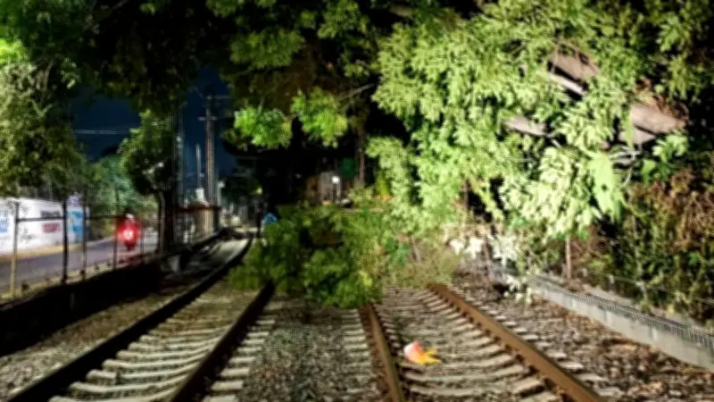 Tren Ligero opera parcialmente por caída de árbol entre Tepepan y La Noria