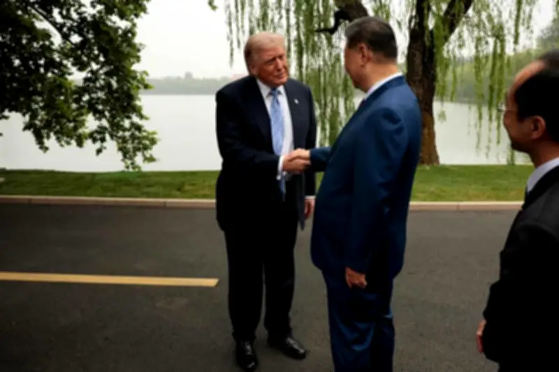 Trump y Xi sostienen segunda reunión en Zhongnanhai