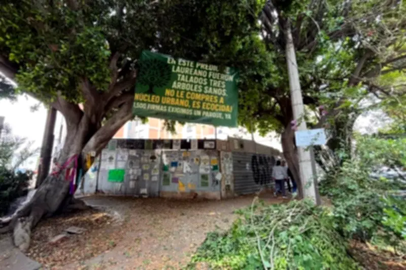 Vecinos alertan por poda excesiva de laureles en su colonia