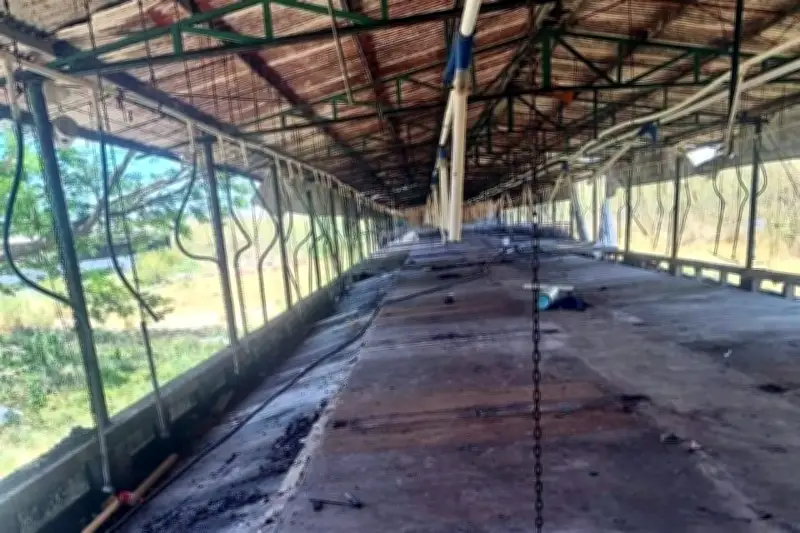 Vecinos de Yucatán vacían megagranja porcícola en protesta