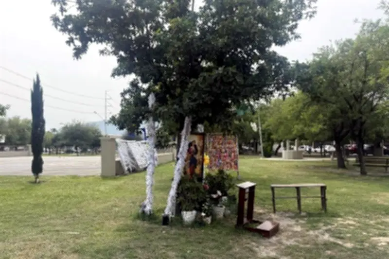 Virgen del Parque divide a vecinos de San Nicolás