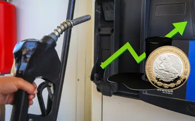 44% de gasolineras en México incumplen precio del diésel: Profeco