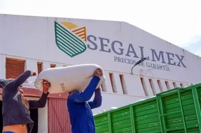 Acusan impunidad selectiva en caso Segalmex