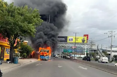 Arde camión de la Ruta 117 en San Nicolás; no hay heridos