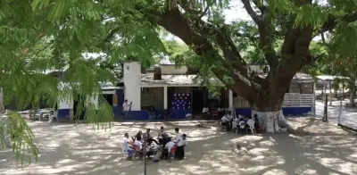 Aulas a 45°C en Oaxaca: niños se turnan un ventilador y clases bajo árbol