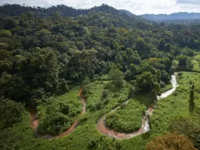 Cambio climático amenaza con extinguir hasta el 16% de plantas para 2100