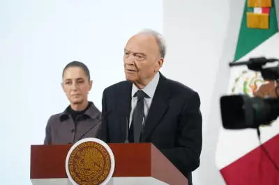 CIDH da tres meses a México para responder por caso Gertz-Cuevas