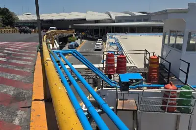 Continúa el Rey de las Pipas en el AICM