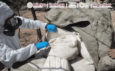 Desmantelan tres laboratorios clandestinos en Sinaloa; suman seis en una semana