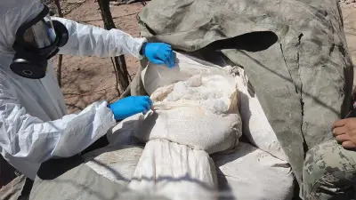 Desmantelan tres narcolaboratorios en Sinaloa; golpe económico de 923 mdp