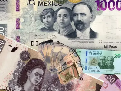 Dólar hoy 20 de mayo: cotización y datos económicos clave de México
