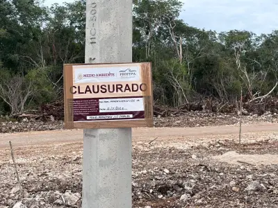 Empresa avícola CRÍO retoma obras pese a suspensión judicial en Yucatán