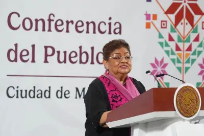 FGR y SRE obstruyen extradición de Rocha Moya, señala despacho internacional