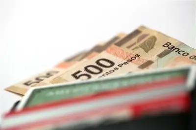 Fondos anticipan expansión pese a desaceleración económica