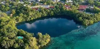 Greenpeace celebra rechazo de Semarnat a proyecto turístico en Mahahual