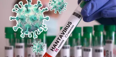 Hantavirus: los 13 países con casos confirmados del brote del crucero