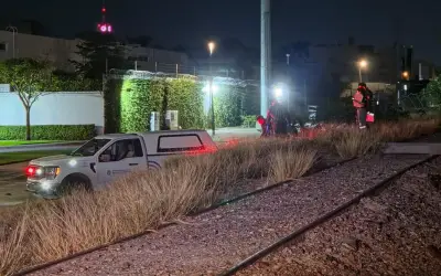 Hombre muere arrollado por tren en Zapopan; cuerpo no identificado