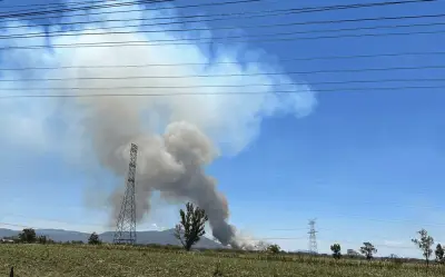 Incendio forestal en La Primavera moviliza a 64 brigadistas