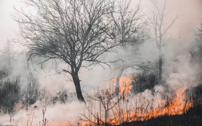 Incendios forestales arrasan 24 mil hectáreas en Oaxaca en 2026