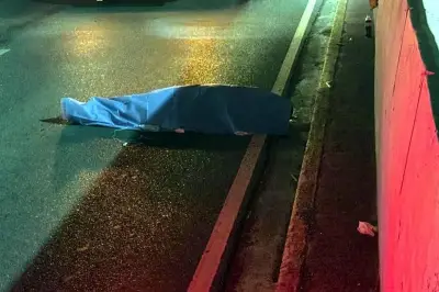 León intenta cruzar carretera y camioneta lo arrolla en NL