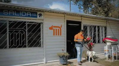 Metro CDMX invita a adoptar perros rescatados en PETFEST 2026