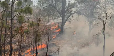 México alcanza récord de 49 incendios forestales activos en 2026