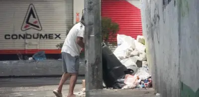Operativo 'Caza Cochinos' en Miguel Hidalgo contra tiraderos