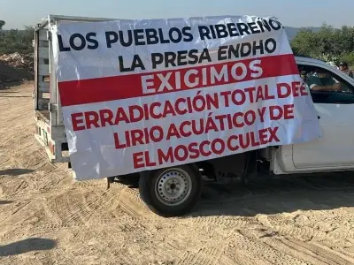 Pemex combate lirio acuático y mosco Culex en presa Endhó, Hidalgo