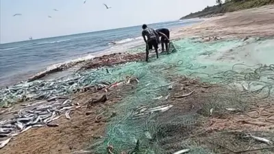 Pescadores de Cárdenas sin vender tras derrame de Pemex