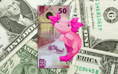 Por qué el peso sufrió tropiezo inesperado frente al dólar esta semana
