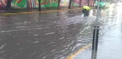 Pérdida de áreas verdes agrava inundaciones en CDMX
